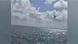 Gender-Reveal Flyby Turns Tragic When Plane Crashes Into Sea